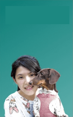 Trusted Food For Your Pets post thumbnail image