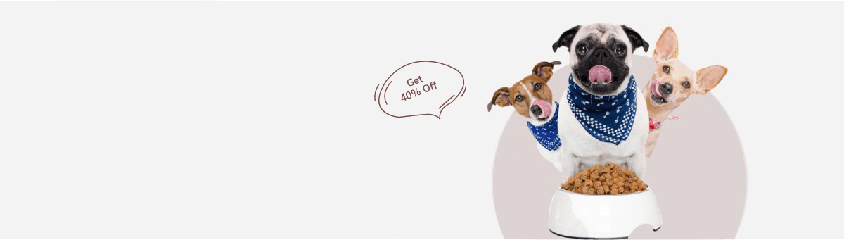 Best Food For Your Pets post thumbnail image